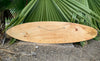 natural wood surfboard resting on dirt beside tropical palm leaves