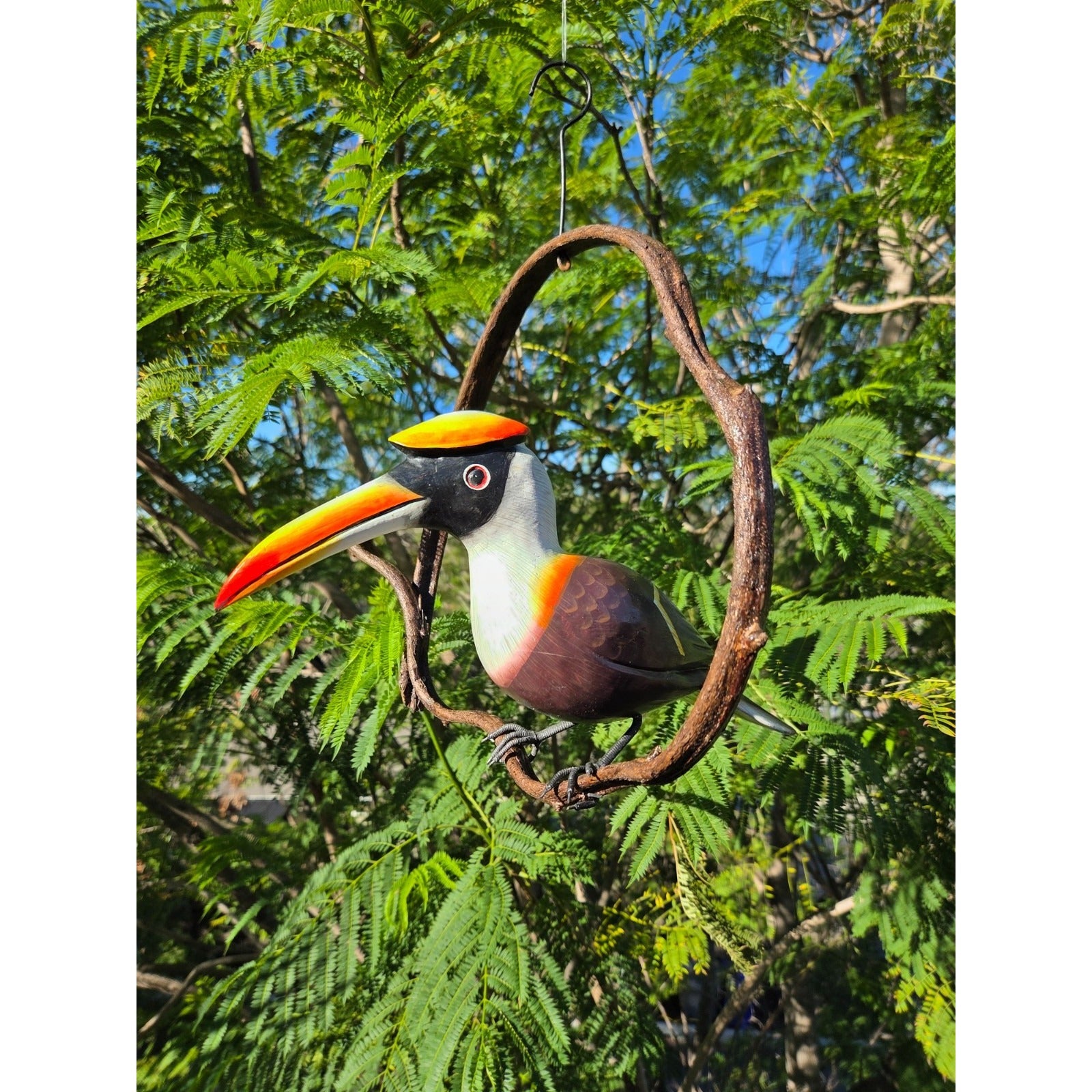 Decorative Wooden Hornbill Statue on wooden vine perch