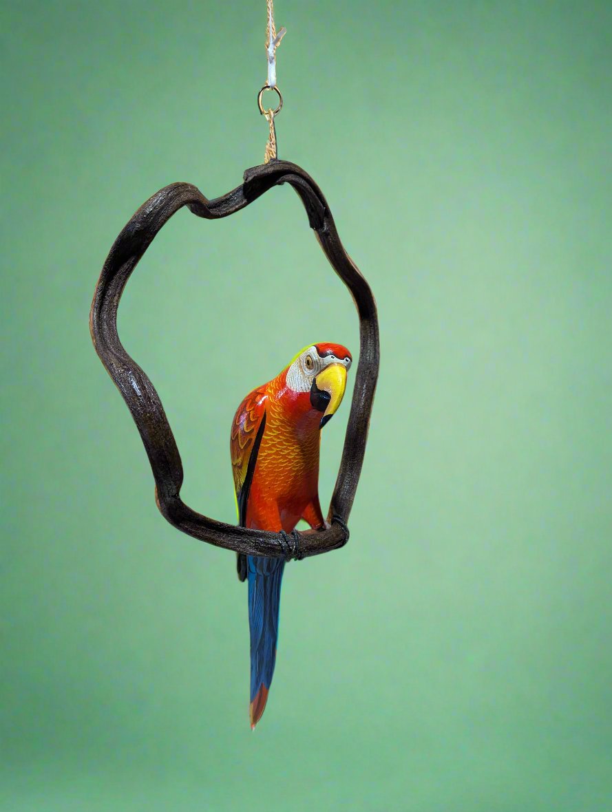 Scarlet macaw inside a heart-shaped hanging frame against a green background
