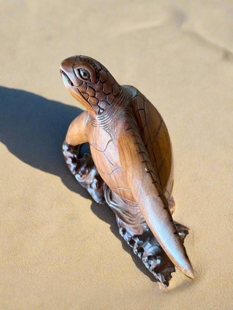 Young sea turtle hatchling on a sandy beach.