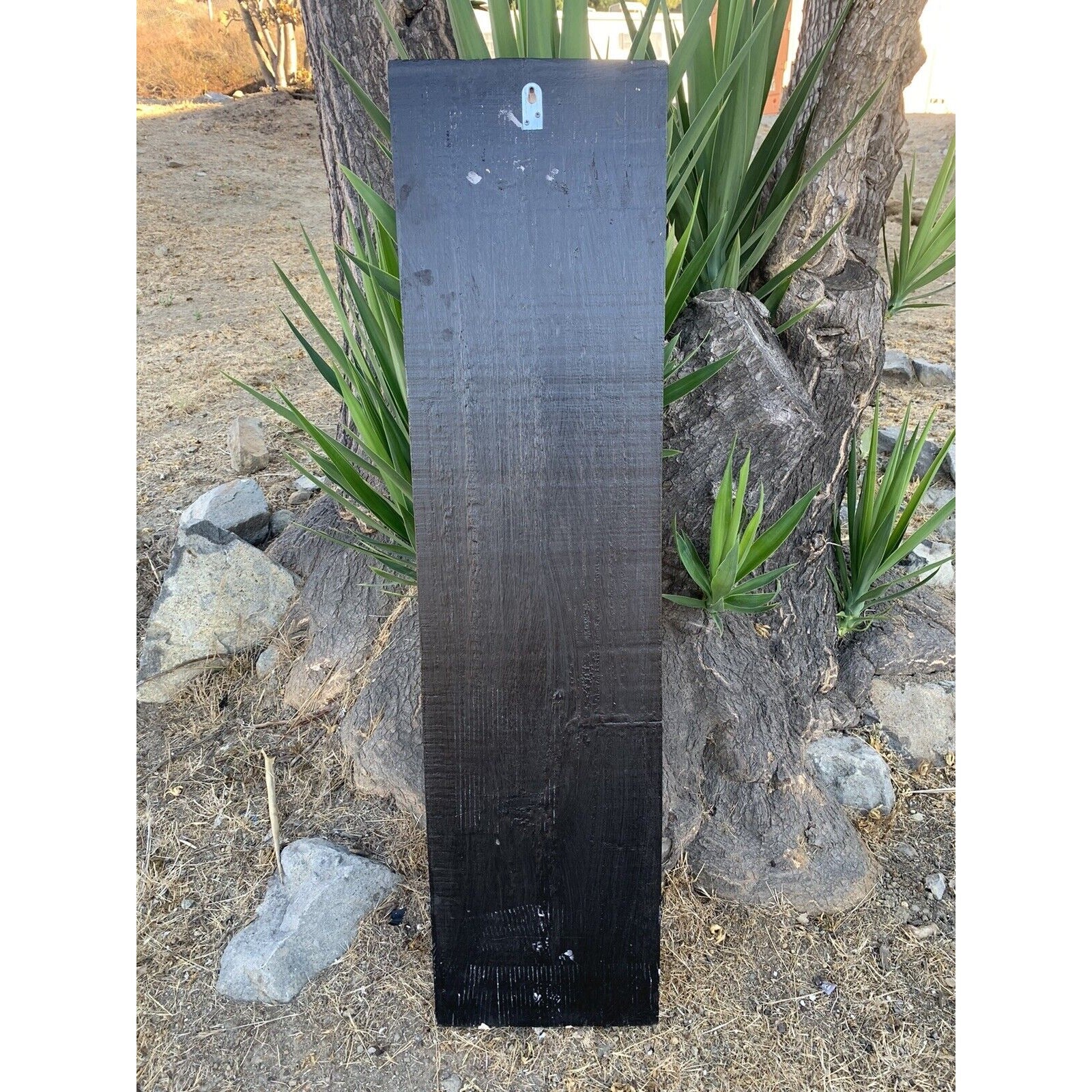 Tall dark-stained wooden plank leaning upright against a tree in a desert garden.