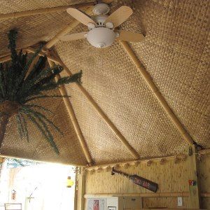 Thatched tiki hut interior with ceiling fan, palm plant, and decorative paddle