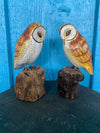 Two carved wooden owls perched on bark-stump bases against a blue background.