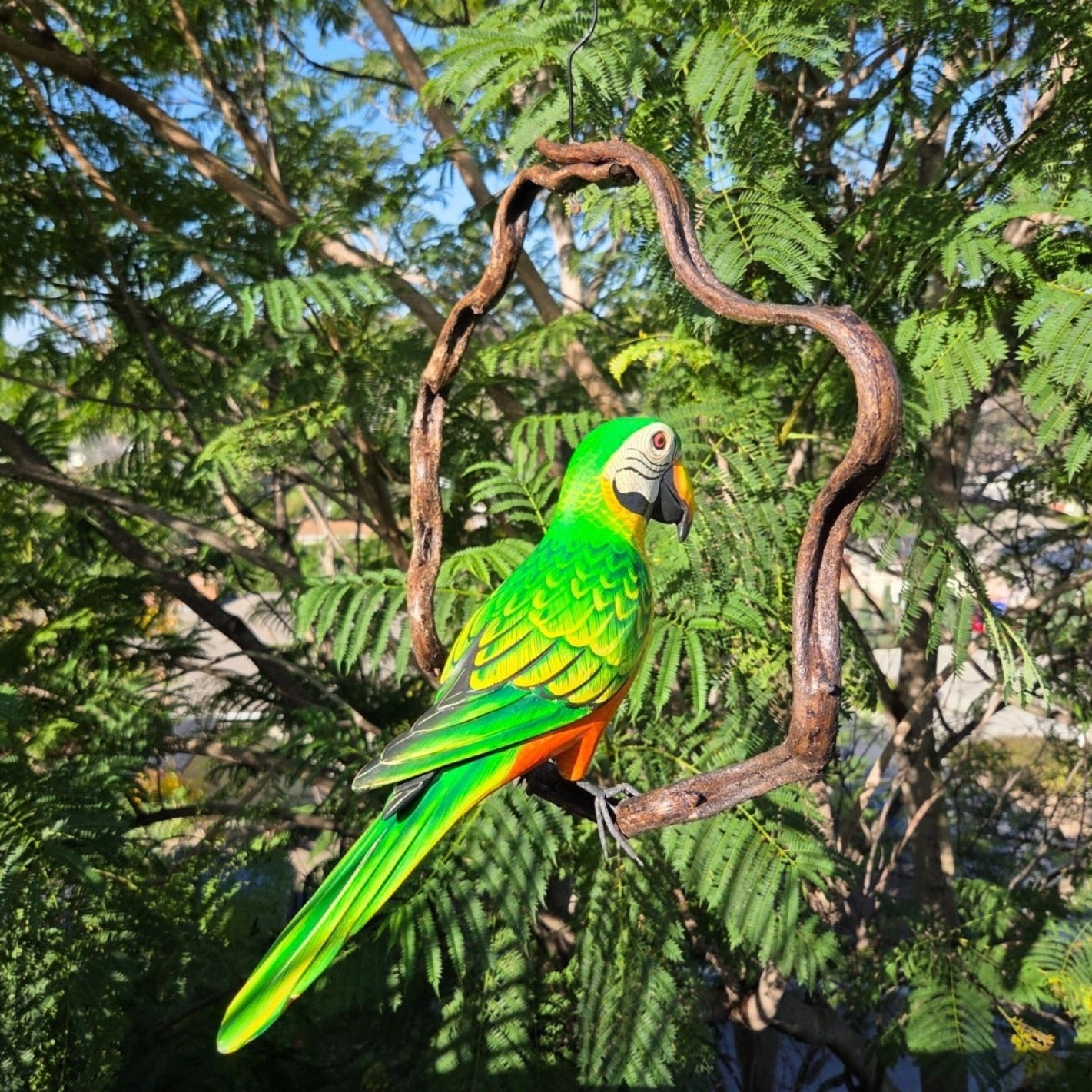 Green and red parrot perched on a branch with a natural background of trees and foliage.