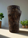 weathered tree stump centerpiece on a white table with potted plants in the background
