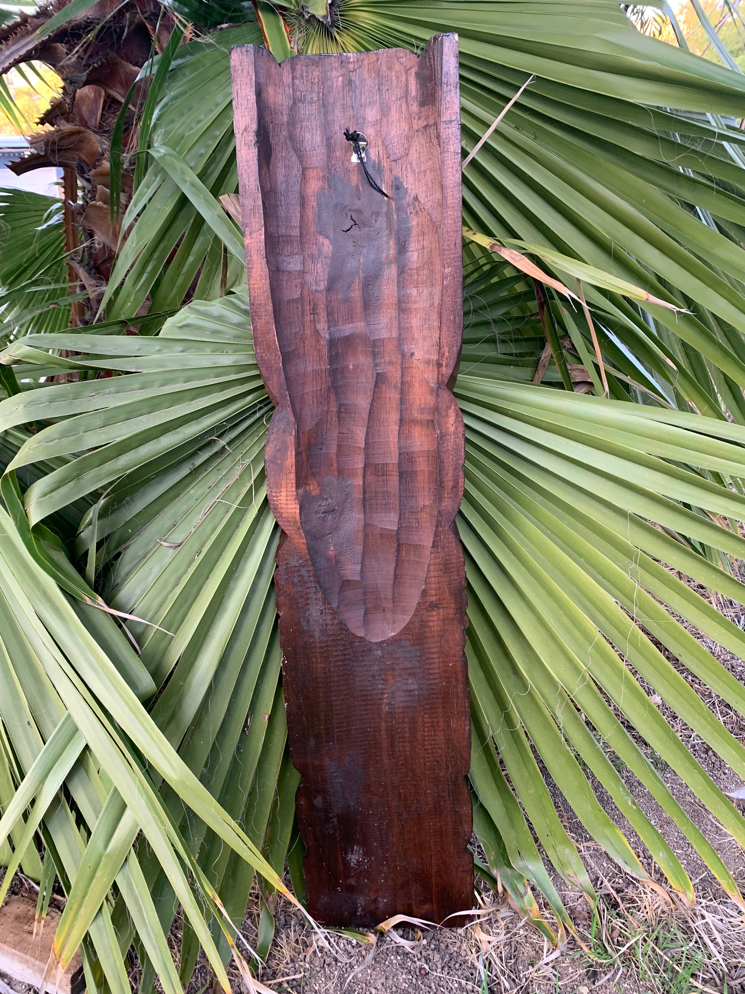 Weathered wooden plank with a guitar-shaped silhouette in front of palm leaves