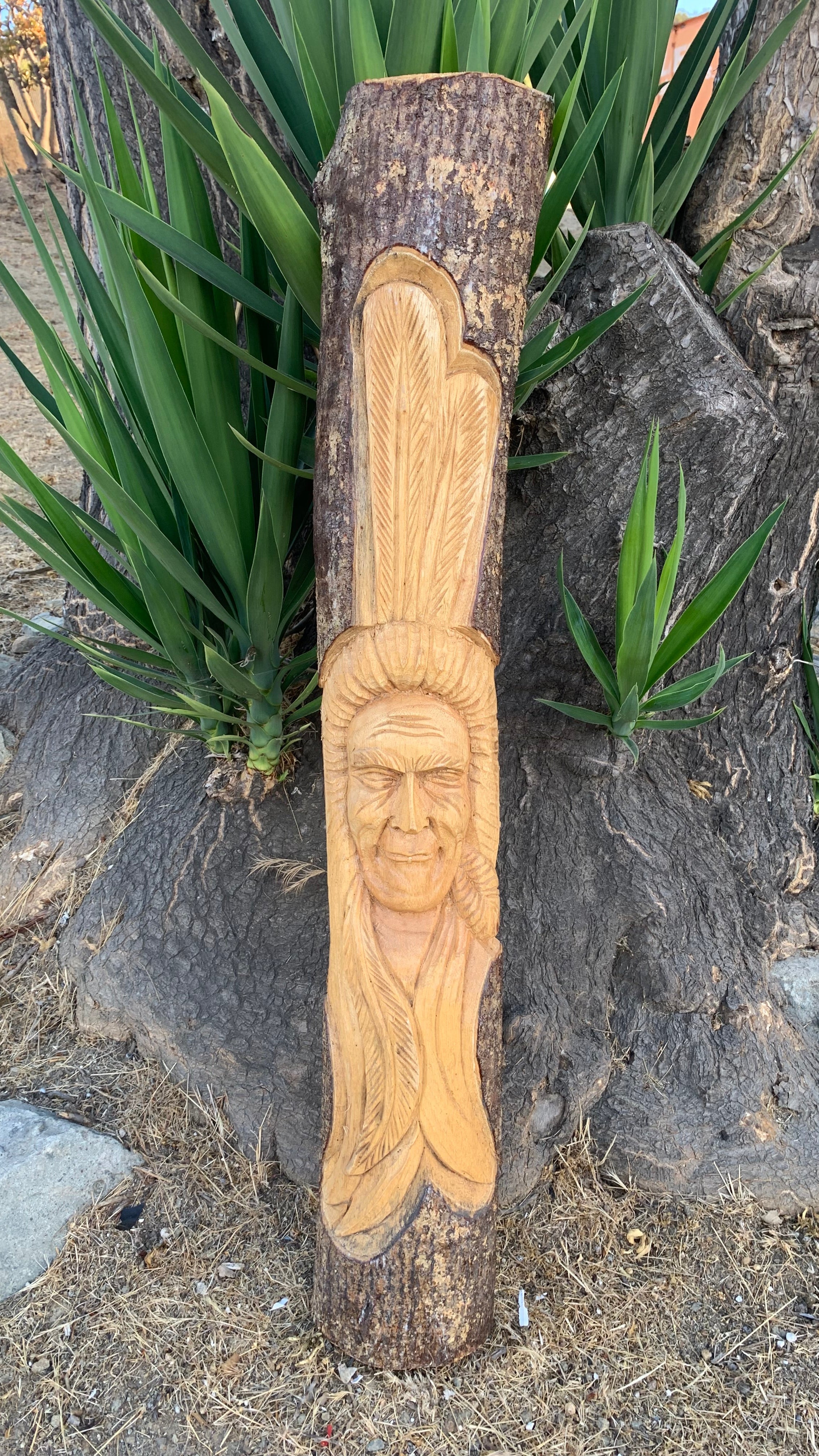 Outdoor wooden carving of a face relief on a log leaning against a tree.