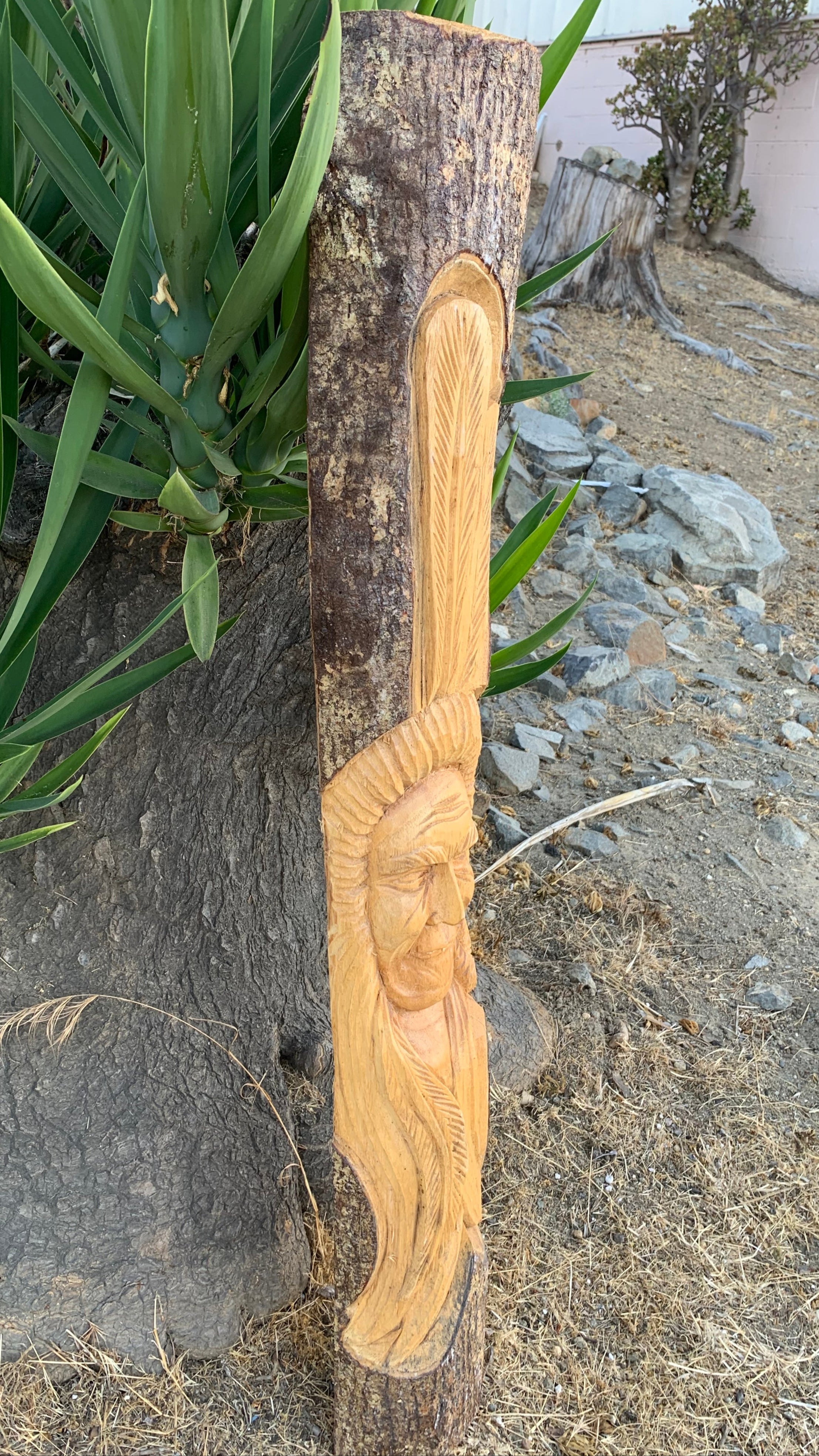 Wooden carved totem attached to a tree trunk in a garden, featuring a face and feather-like patterns.