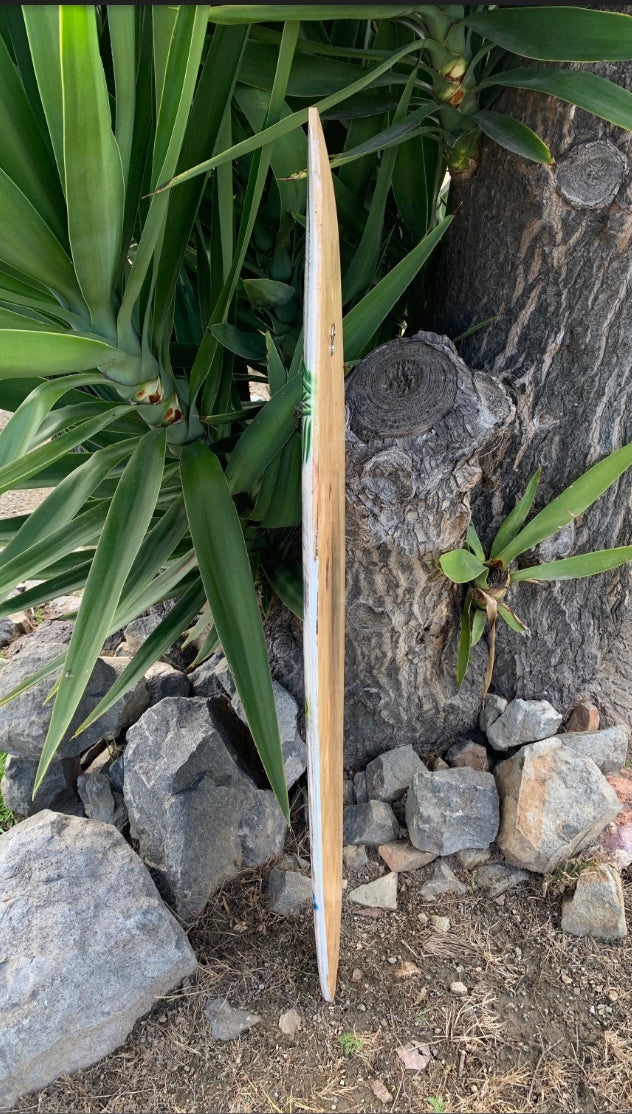 wooden surfboard leaning against a tree trunk beside rocks and green plants