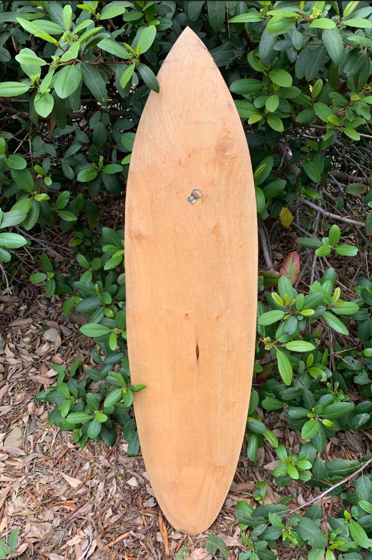 Wooden surfboard propped against green bushes