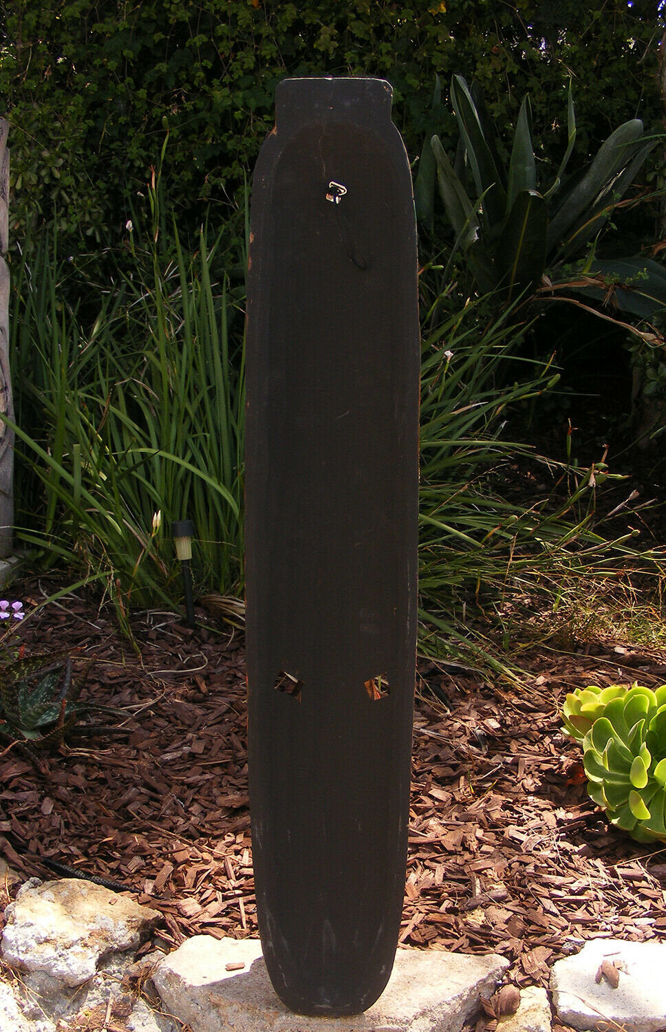 black longboard deck standing upright in a garden with mulch and green plants