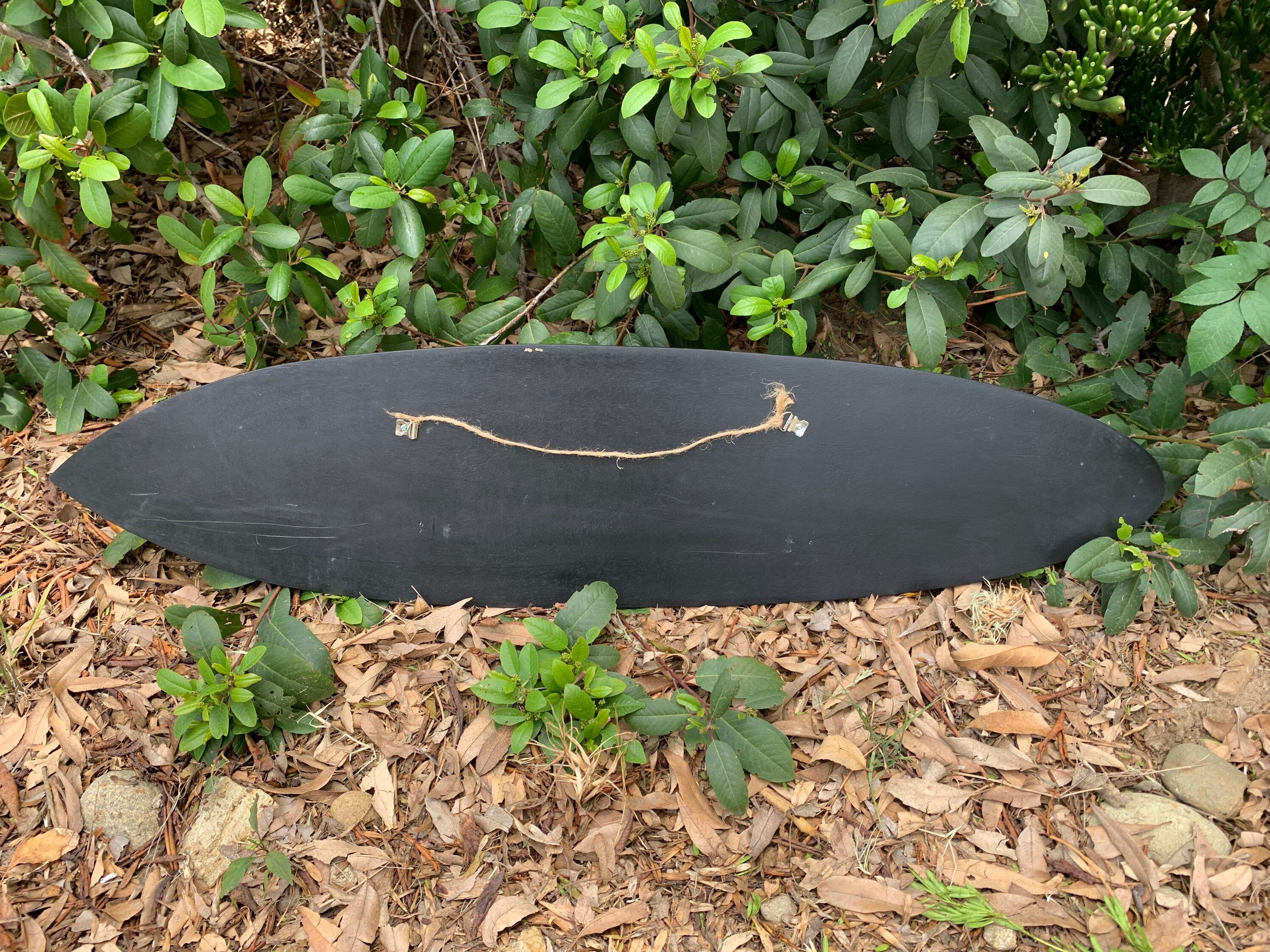 Black longboard with rope handle resting on leaf-covered ground beside green shrubs