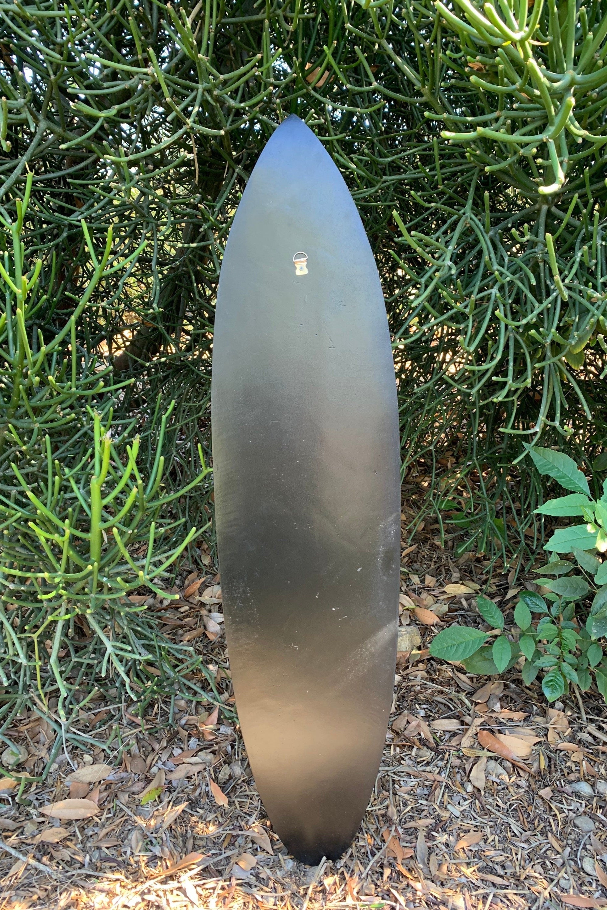 Black metal longboard standing upright among green succulents.