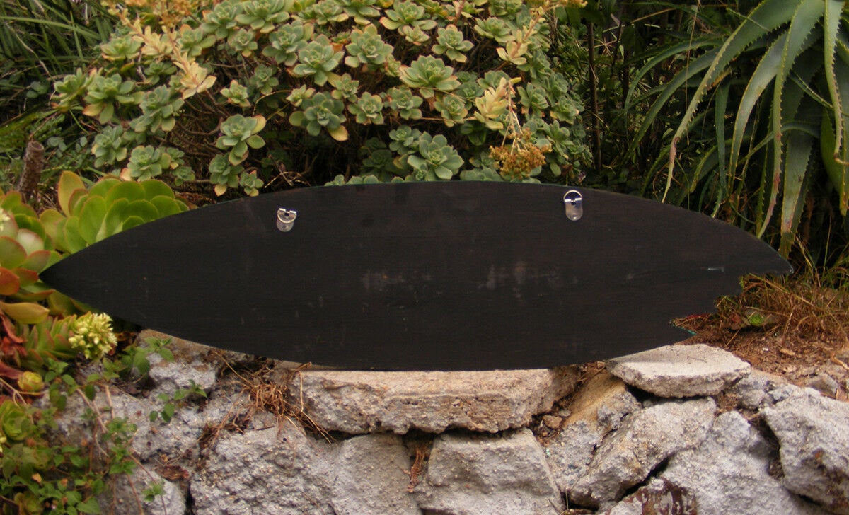 Black surfboard decor on a stone wall amid succulents.