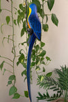 Blue-and-yellow macaw sculpture perched among green plants