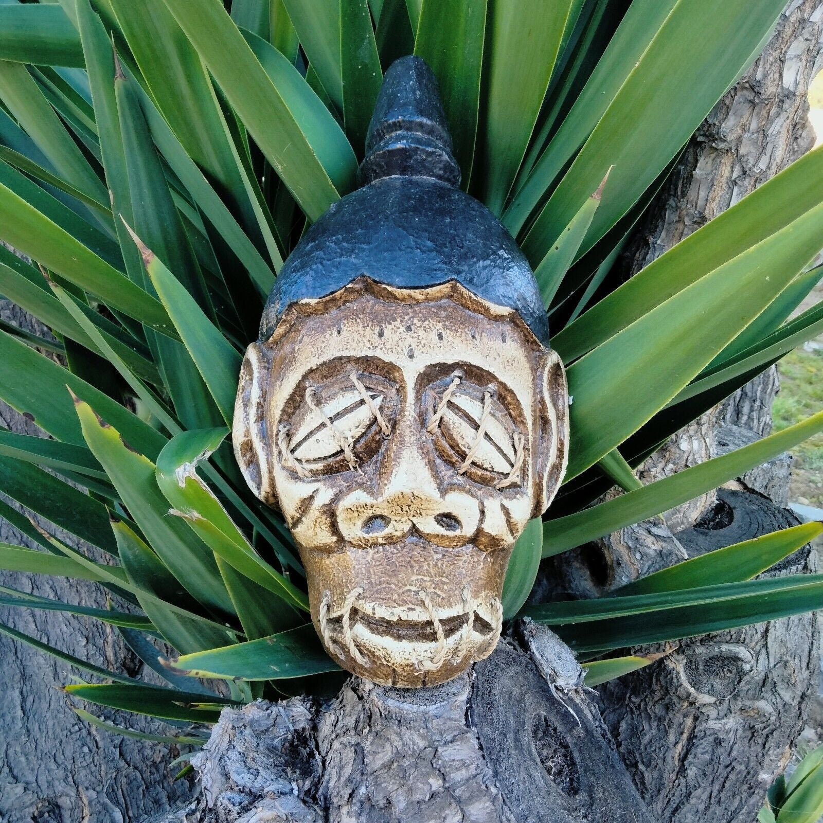 Carved skull mask with stitched eye sockets among green plant leaves