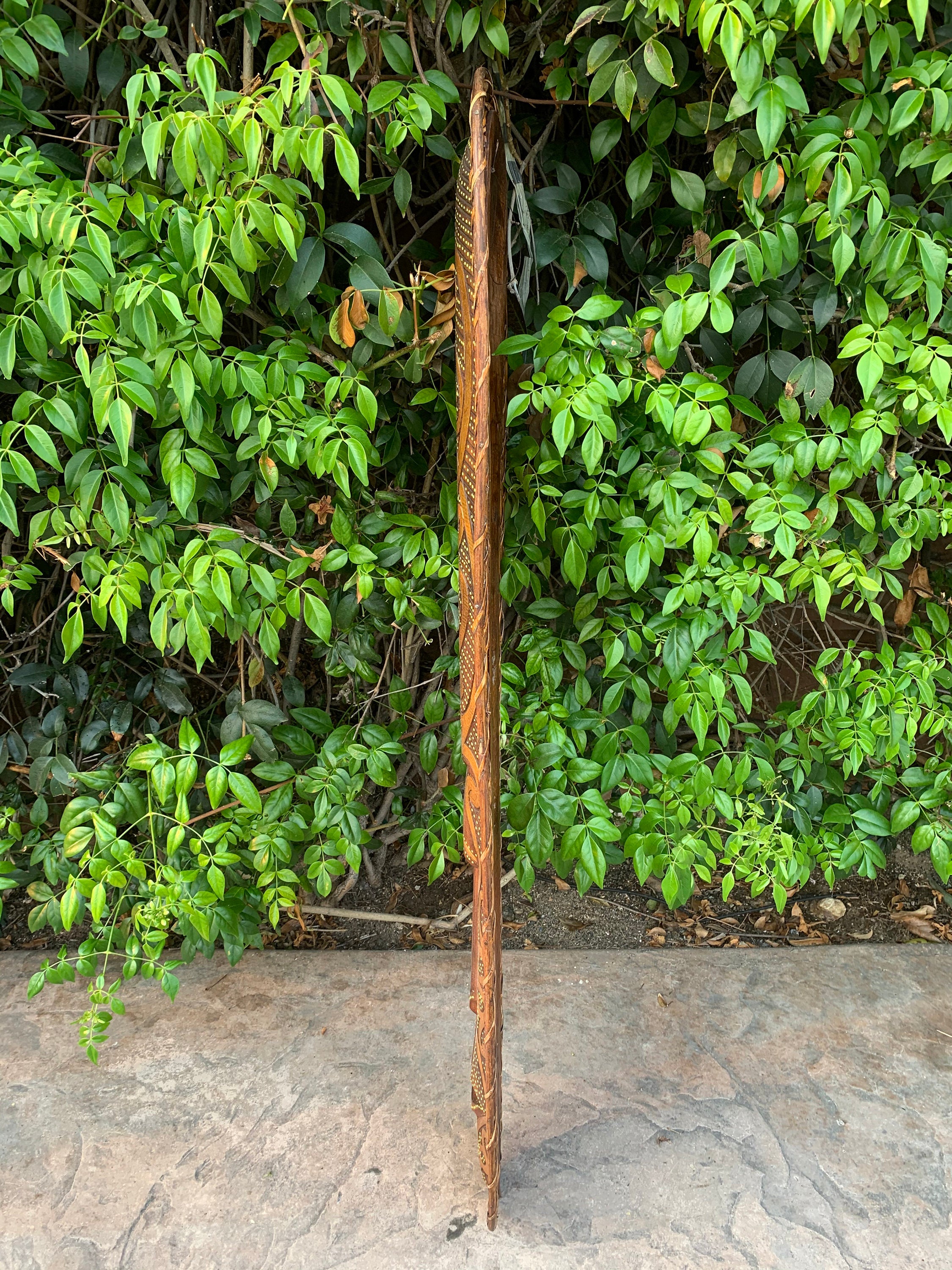Carved wooden walking staff with geometric patterns standing against a green leafy hedge