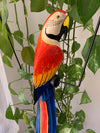 Colorful macaw sculpture perched among green houseplants
