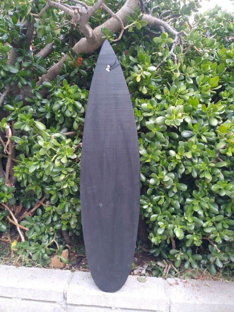dark longboard leaning against dense green shrubbery beside sidewalk