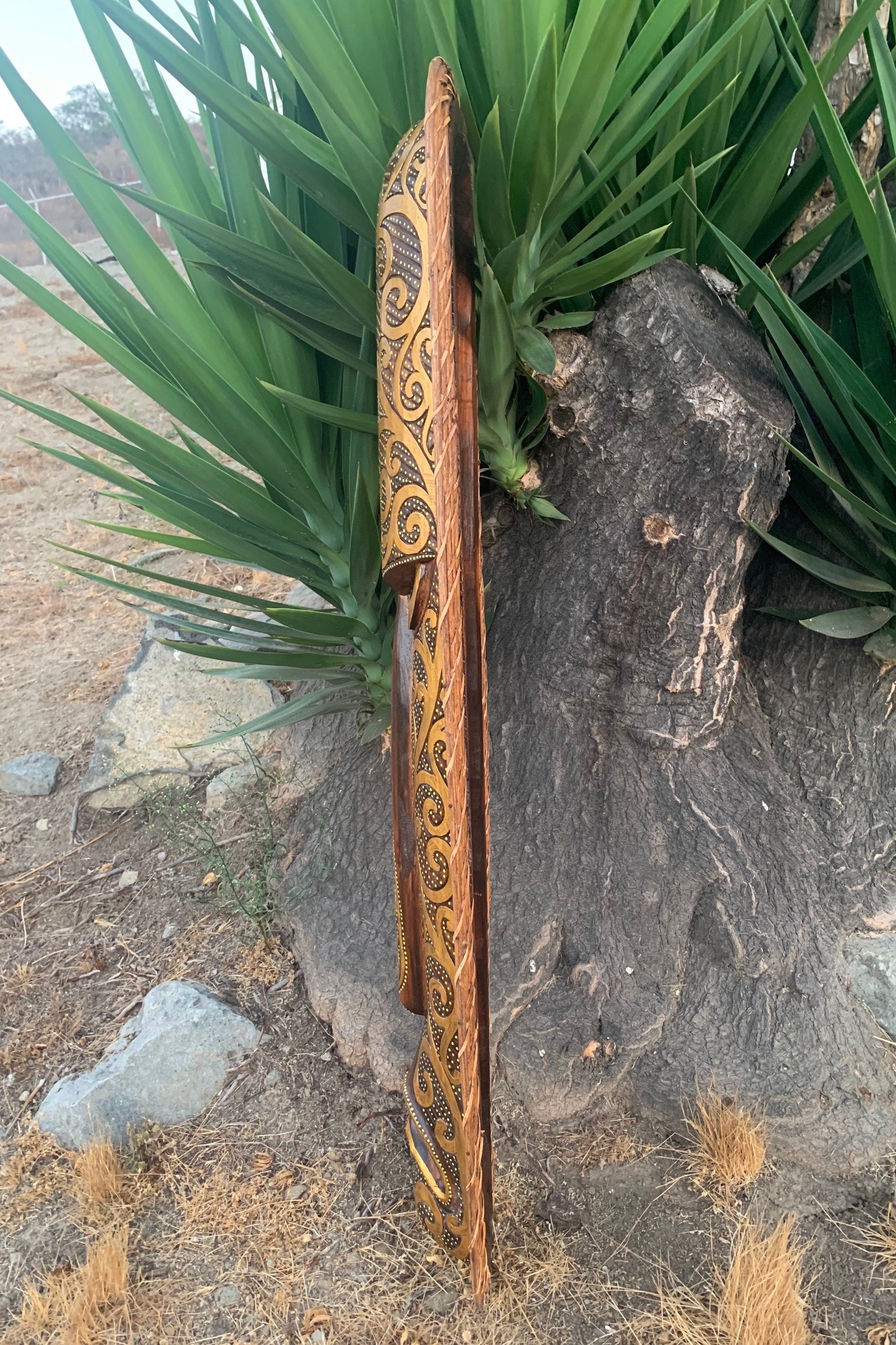 Long carved wooden staff with swirling patterns leaning against a tree in a dry landscape.