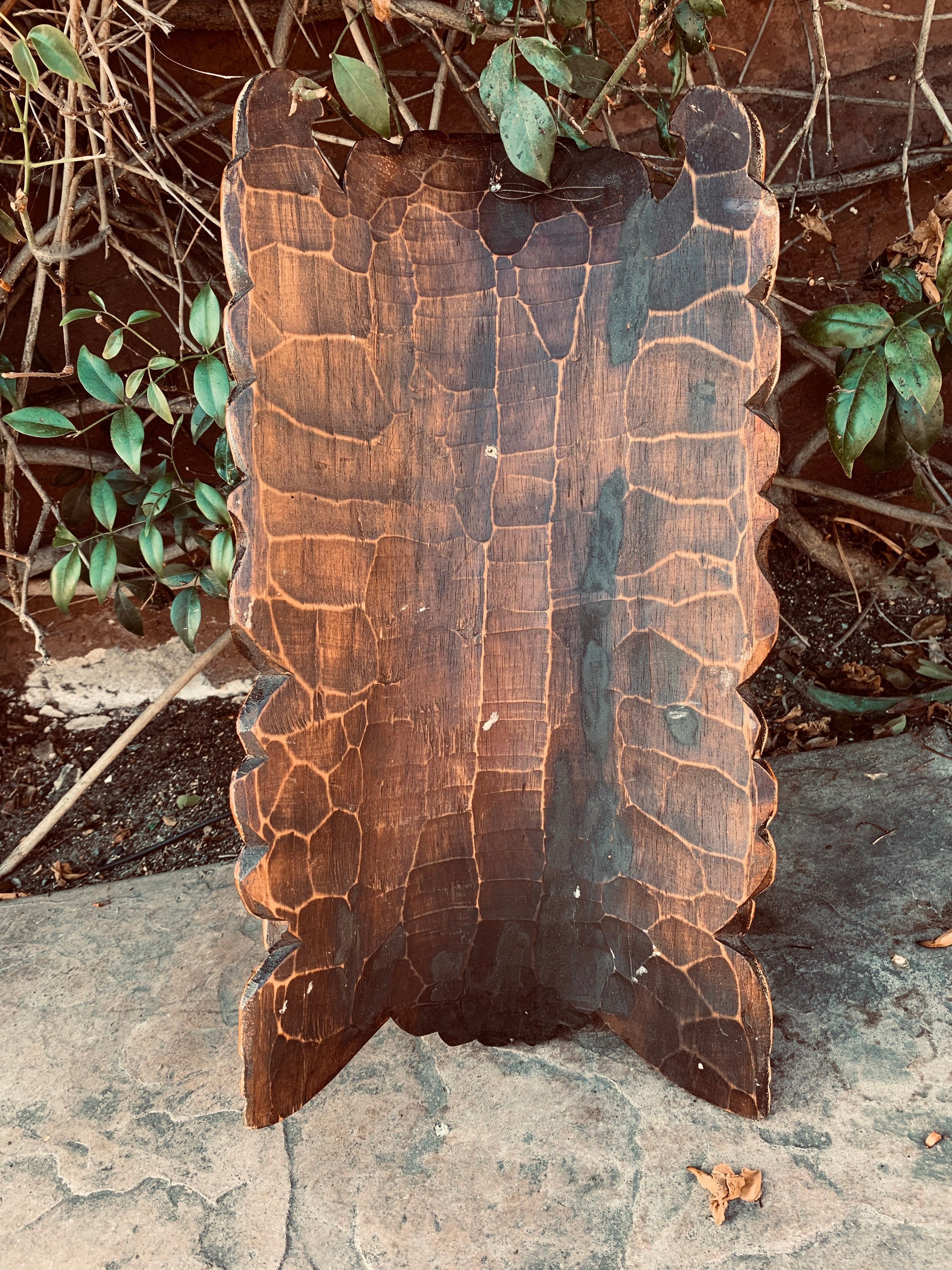 Dark brown wooden plaque with cracked mosaic pattern and scalloped edges leaning against plants
