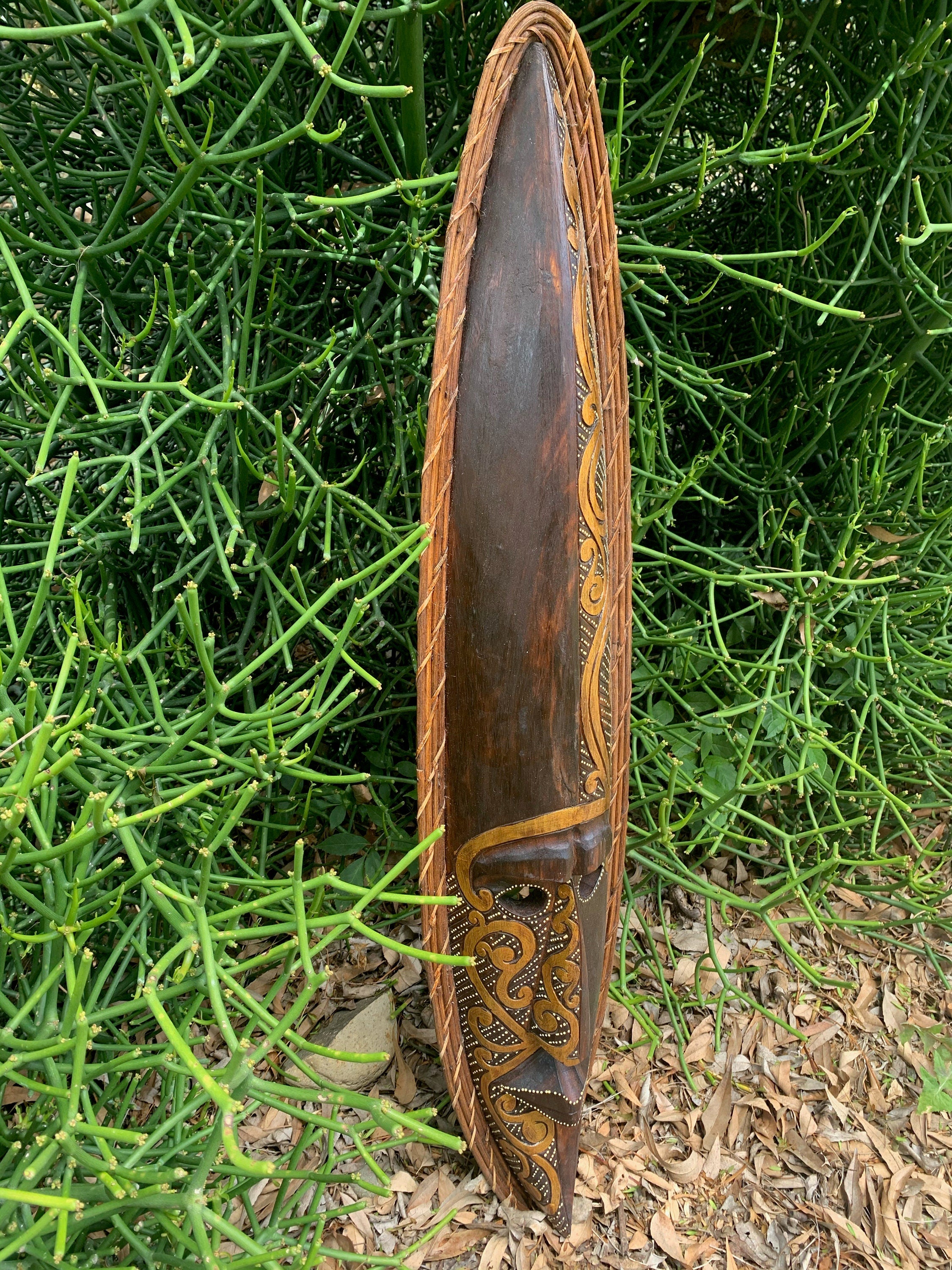 Long wooden carved shield with ornate scrollwork leaning against a dense green plant