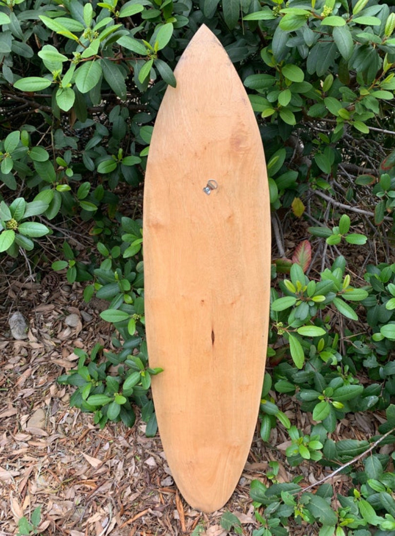 Natural wood surfboard leaning against green shrubs