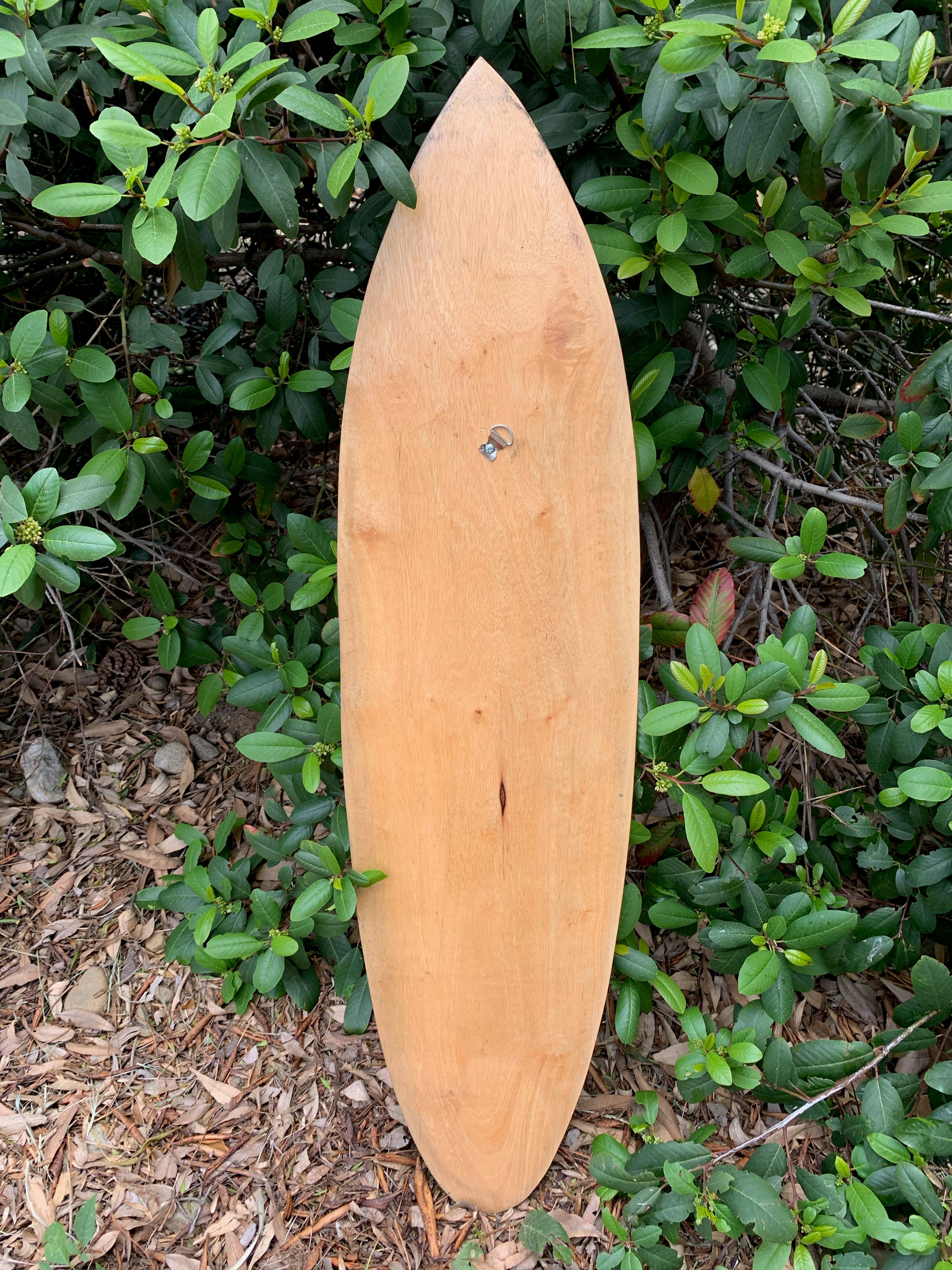 Natural wooden surfboard leaning on green shrub with leash plug visible