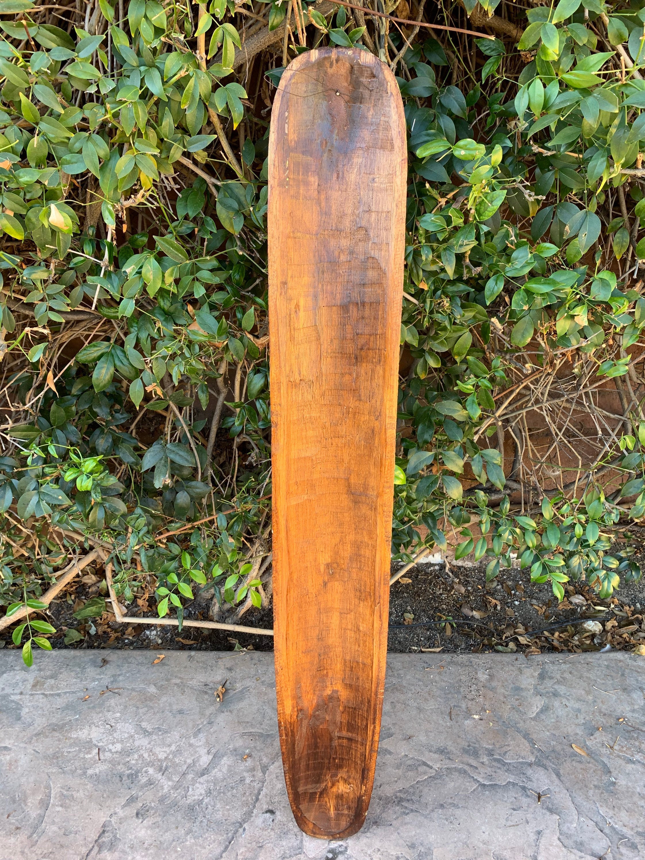 Old wooden longboard deck leaning against a green hedge.