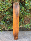 Old wooden longboard deck leaning against a green hedge.