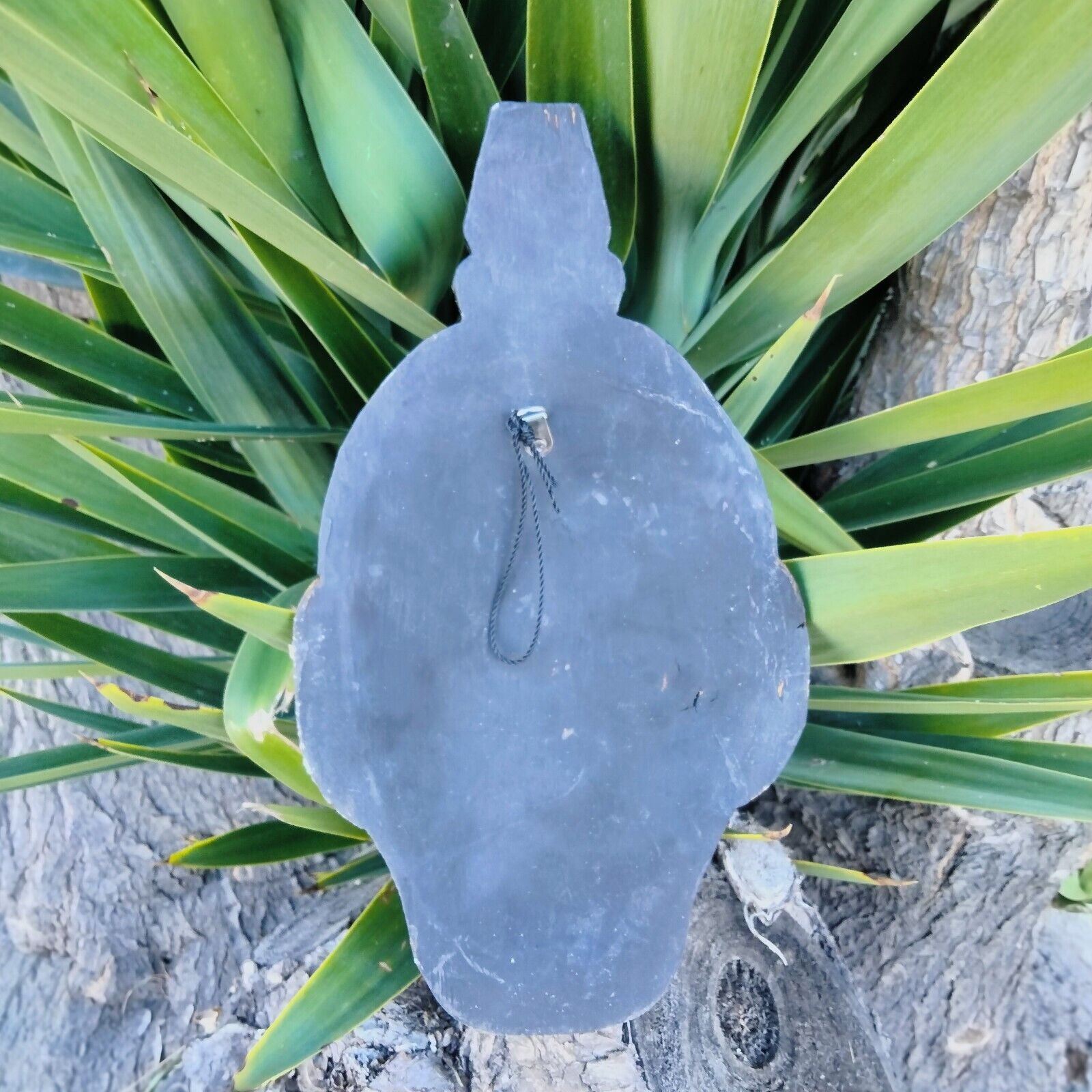 Slate sign with looped cord resting on green plant leaves