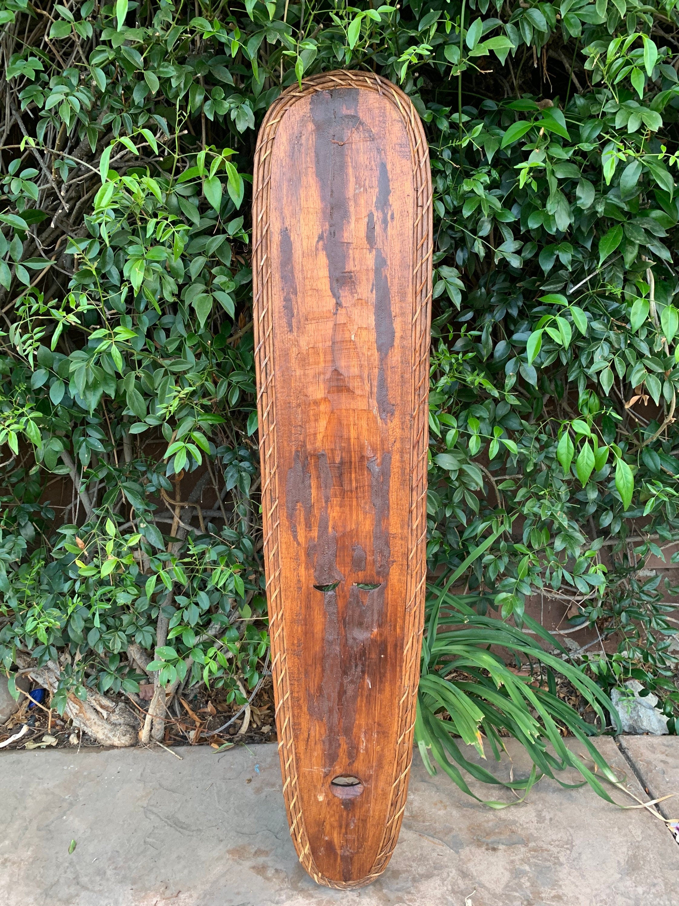 Weathered wooden longboard deck with rope border leaning against a green hedge