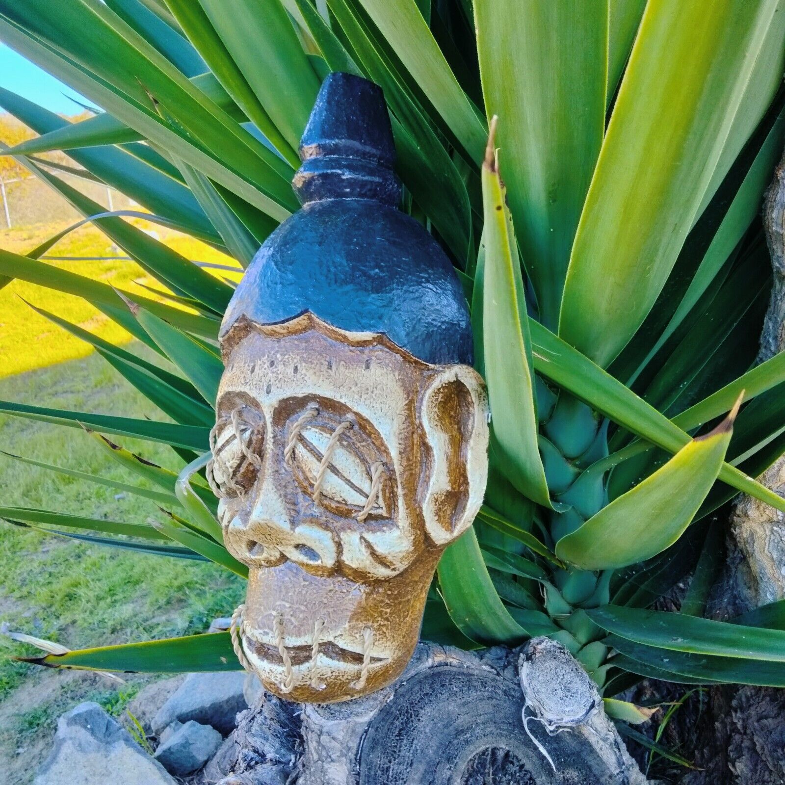 Wooden skull sculpture with blue top hat and rope-bound eyes among green agave leaves