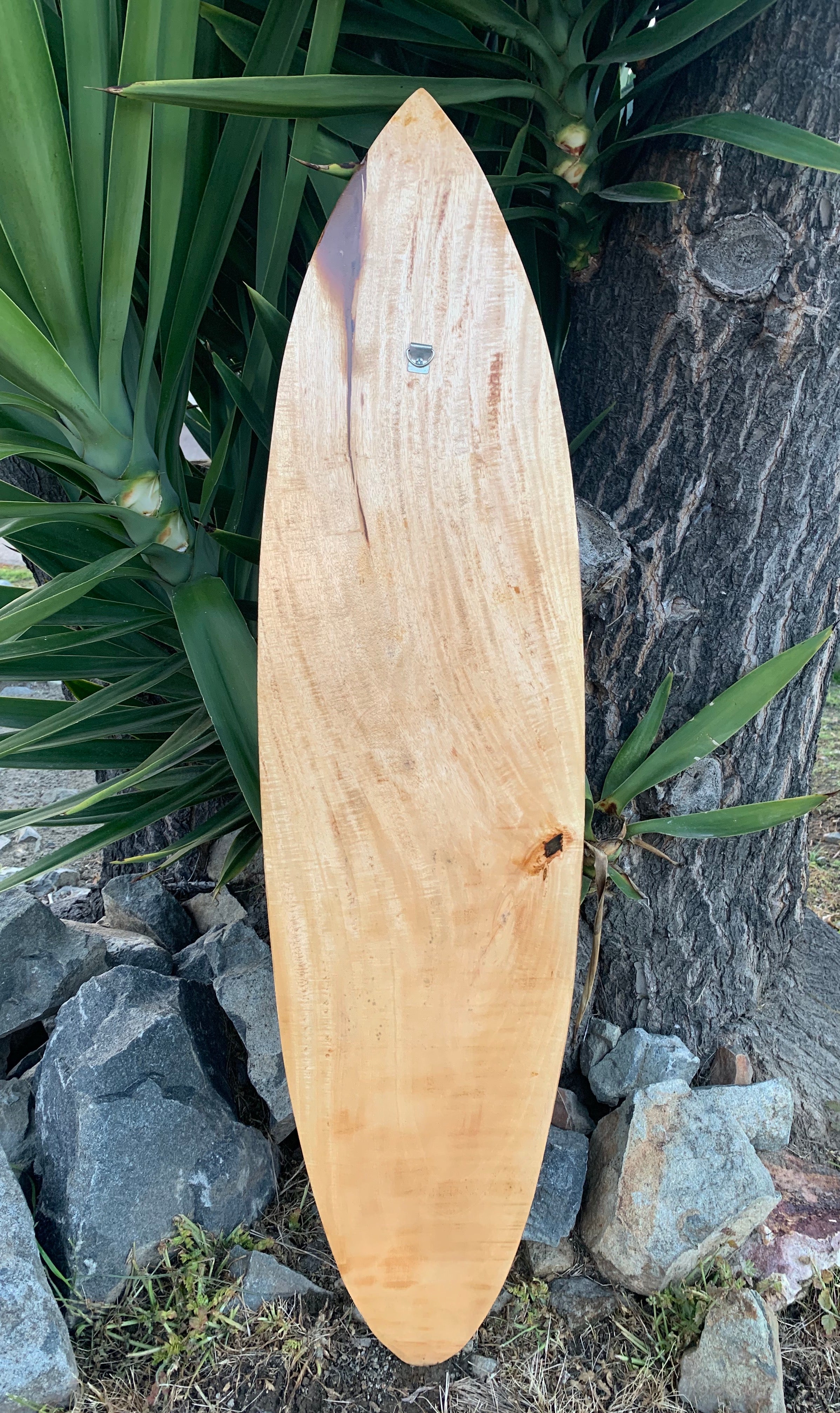 Wooden surfboard leaning against a tree with green plants and rocks