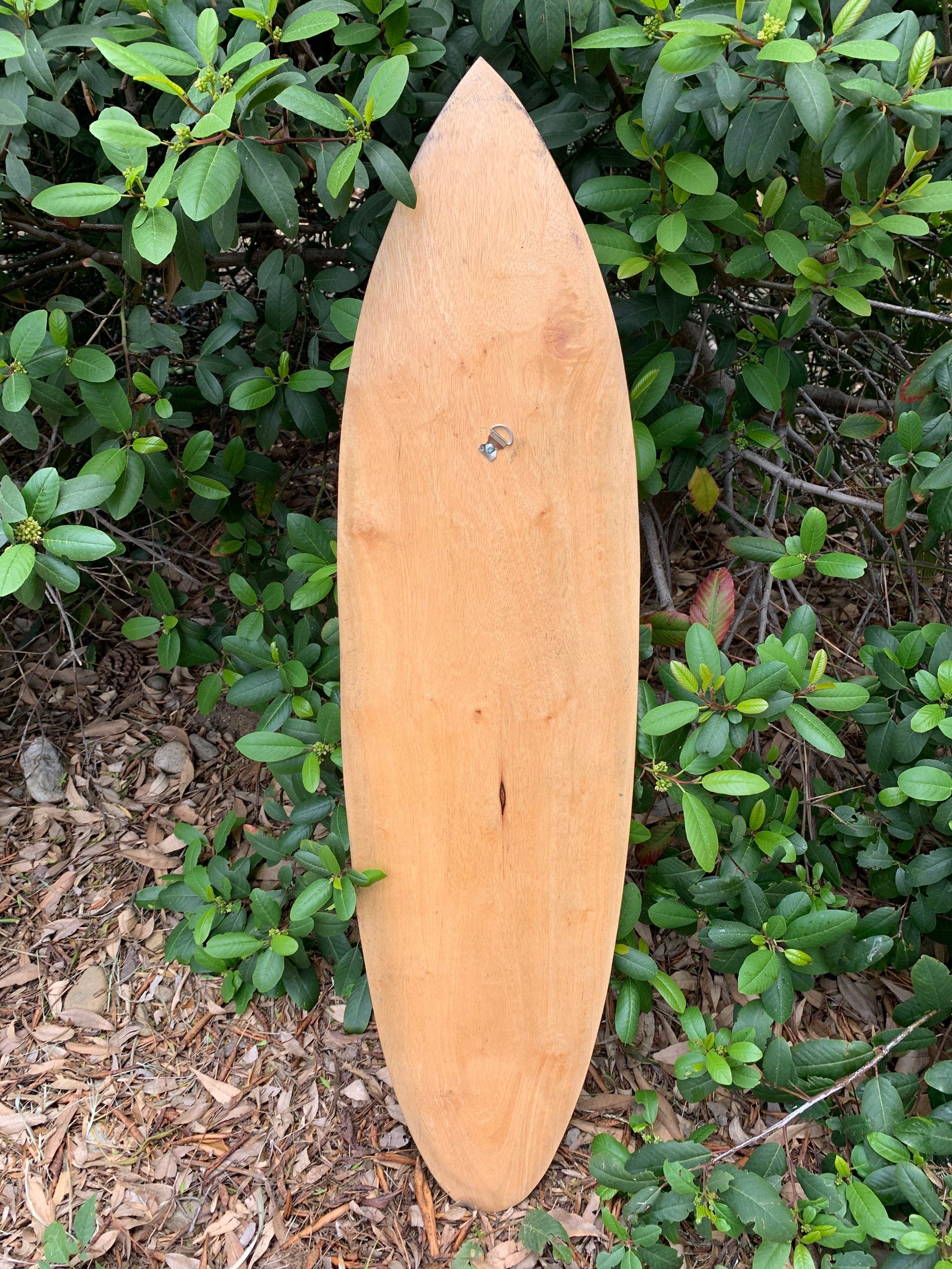 Wooden surfboard-shaped board standing upright in front of green shrubs