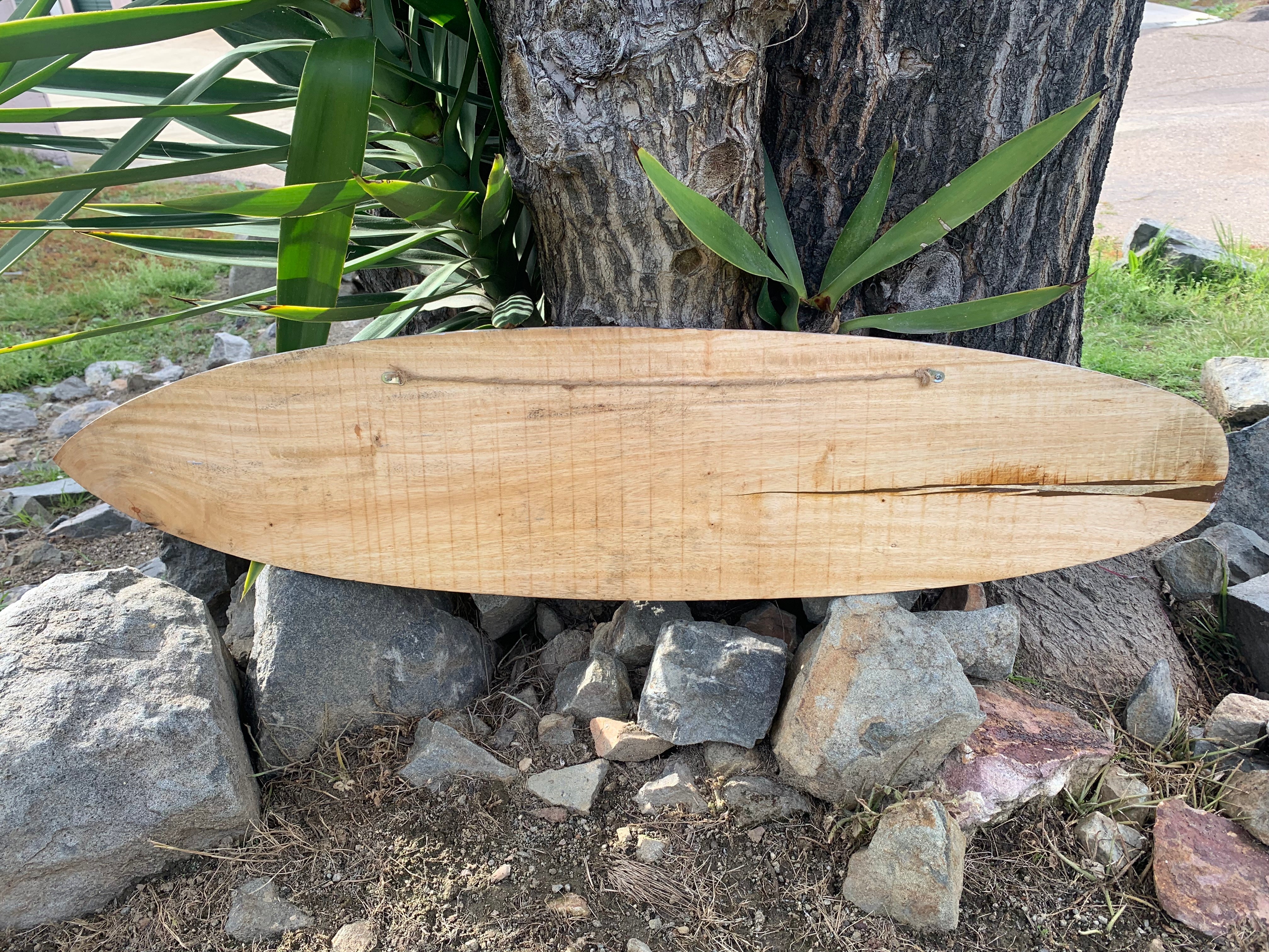 wooden surfboard-shaped board resting on rocks by a tree trunk with green leaves nearby
